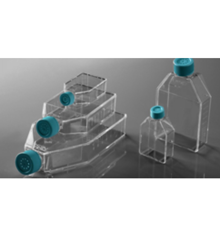 細(xì)胞培養(yǎng)瓶 Cell Culture Flasks 細(xì)胞培養(yǎng)瓶 Cell Culture Flasks